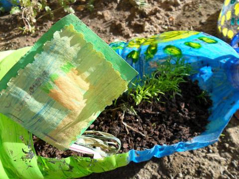Vaso de sementeira criado pelos alunos do primeiro ciclo para sementeira de cenoura pelos alunos da infantil.